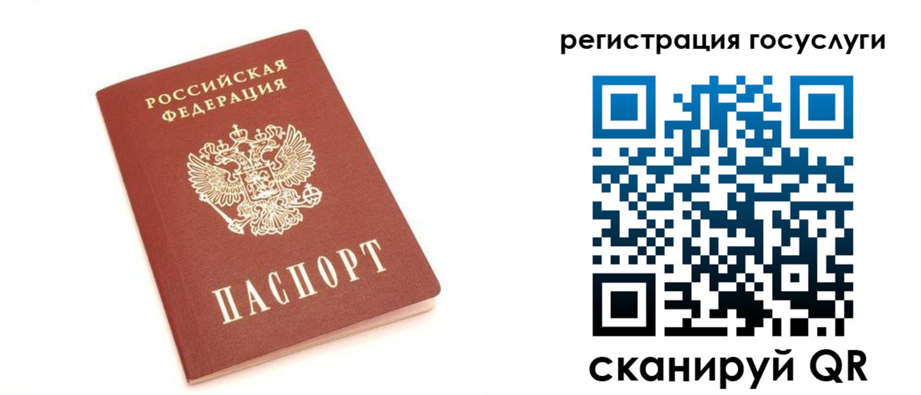прописка для школы в Белокурихе